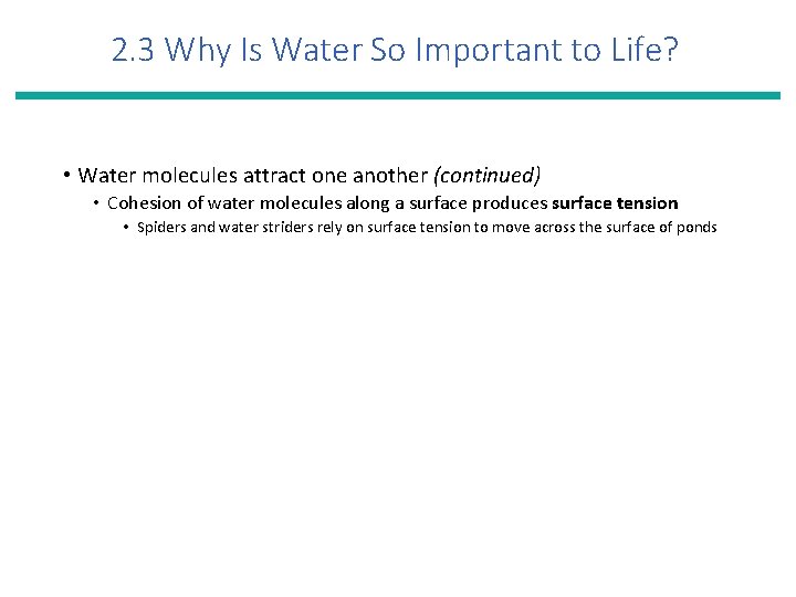 2. 3 Why Is Water So Important to Life? • Water molecules attract one