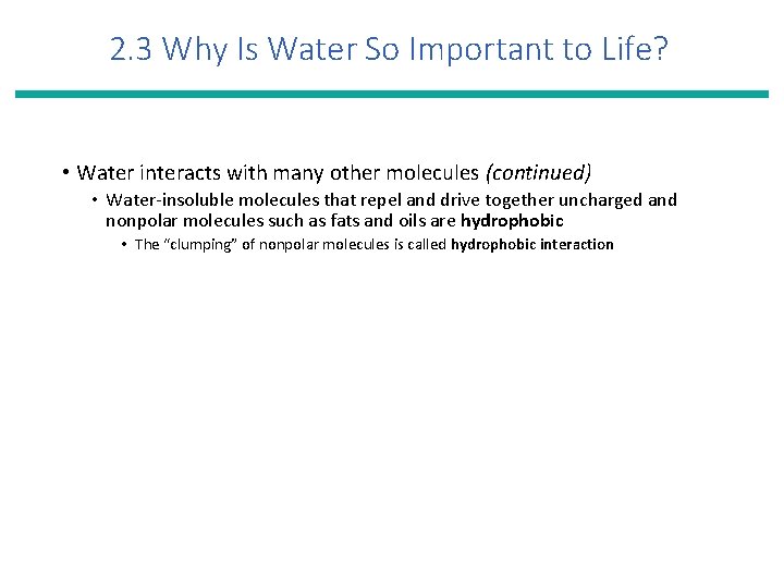 2. 3 Why Is Water So Important to Life? • Water interacts with many