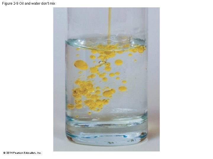 Figure 2 -9 Oil and water don’t mix © 2014 Pearson Education, Inc. 