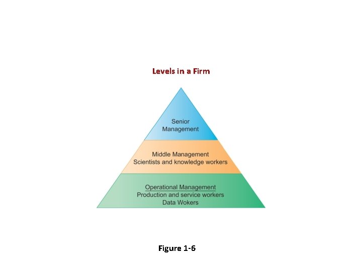 Levels in a Firm Figure 1 -6 