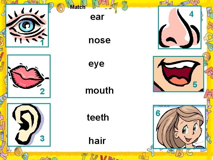 Match 4 ear 1 nose eye 2 mouth teeth 3 5 hair 6 