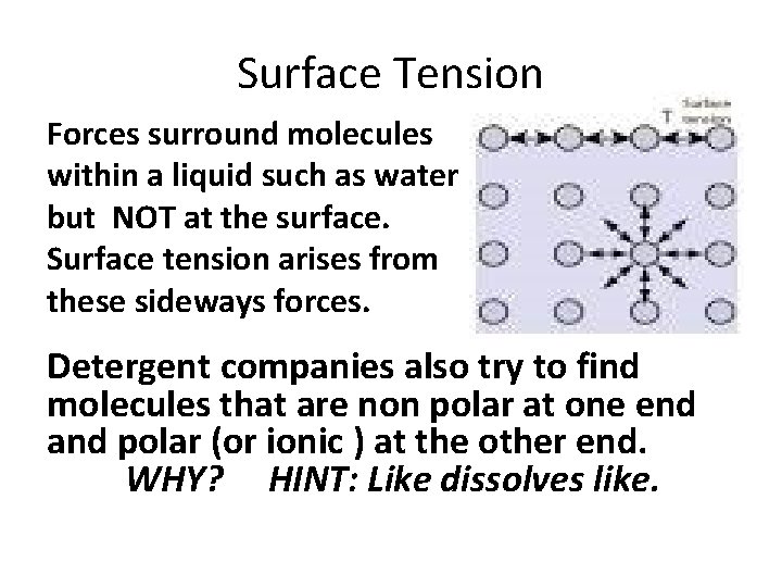 Surface Tension Forces surround molecules within a liquid such as water but NOT at