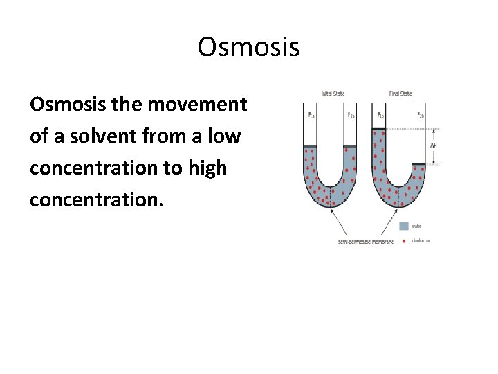 Osmosis the movement of a solvent from a low concentration to high concentration. 