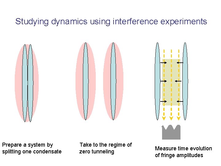 Studying dynamics using interference experiments Prepare a system by splitting one condensate Take to