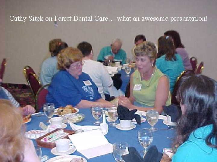 Cathy Sitek on Ferret Dental Care… what an awesome presentation! 