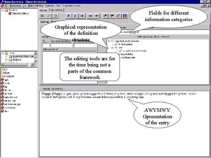 Fields for different information categories Graphical representation of the definition structure The editing tools