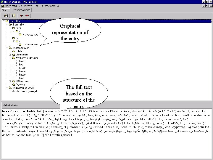 Graphical representation of the entry The full text based on the structure of the