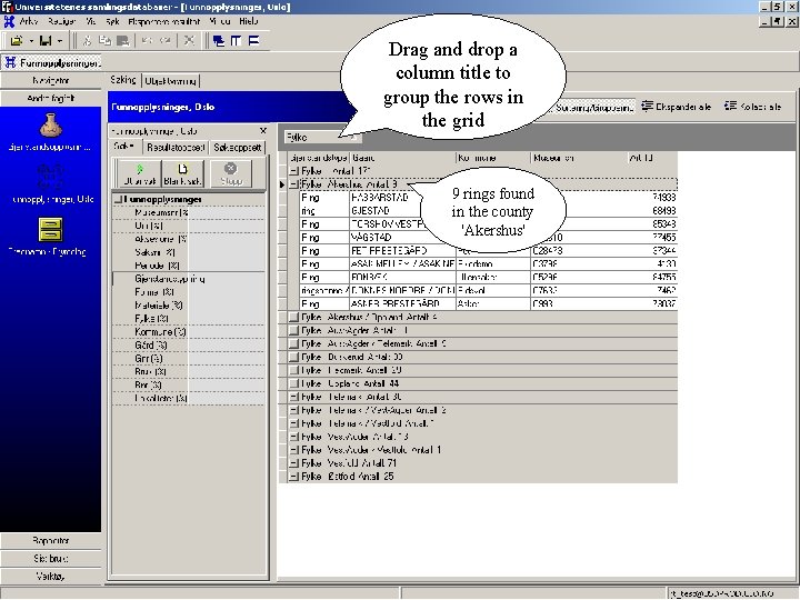 Drag and drop a column title to group the rows in the grid 9