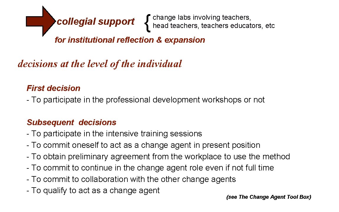 collegial support { change labs involving teachers, head teachers, teachers educators, etc for institutional