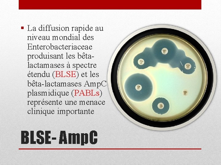 § La diffusion rapide au niveau mondial des Enterobacteriaceae produisant les bêtalactamases à spectre