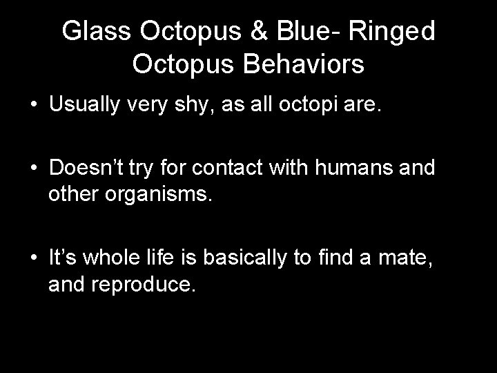 Glass Octopus & Blue- Ringed Octopus Behaviors • Usually very shy, as all octopi