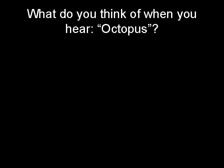 What do you think of when you hear: “Octopus”? 