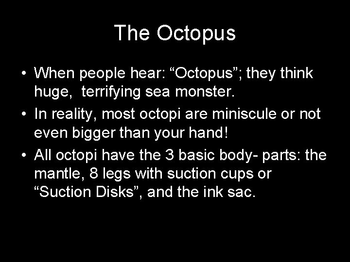 The Octopus • When people hear: “Octopus”; they think huge, terrifying sea monster. •