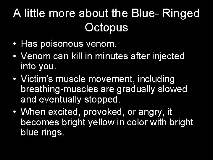 A little more about the Blue- Ringed Octopus • Has poisonous venom. • Venom