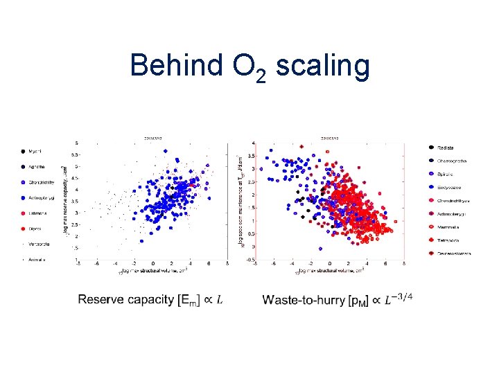 Behind O 2 scaling 