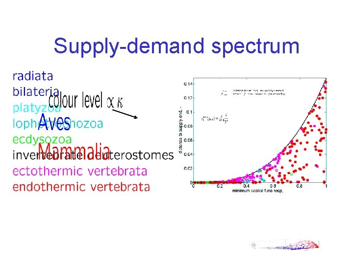 Supply-demand spectrum 