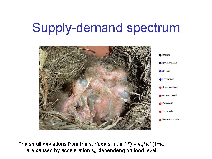 Supply-demand spectrum The small deviations from the surface ss (κ, epmin) = ep 3