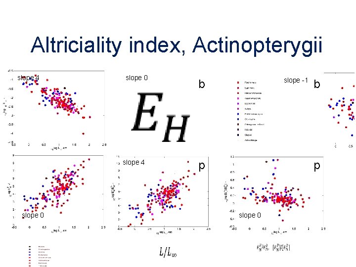 Altriciality index, Actinopterygii slope 4 slope 0 slope -1 b p slope 0 
