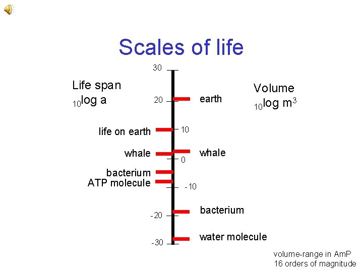 Scales of life 30 Life span 10 log a earth 20 Volume 3 10