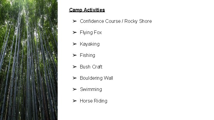 Camp Activities ➢ Confidence Course / Rocky Shore ➢ Flying Fox ➢ Kayaking ➢ Camp Activities ➢ Confidence Course / Rocky Shore ➢ Flying Fox ➢ Kayaking ➢
