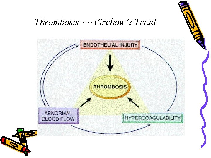 Thrombosis ~~ Virchow’s Triad 