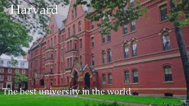 Harvard The best university in the world 