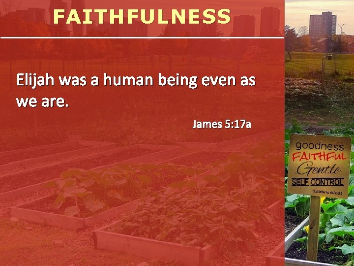 FAITHFULNESS Elijah was a human being even as we are. James 5: 17 a