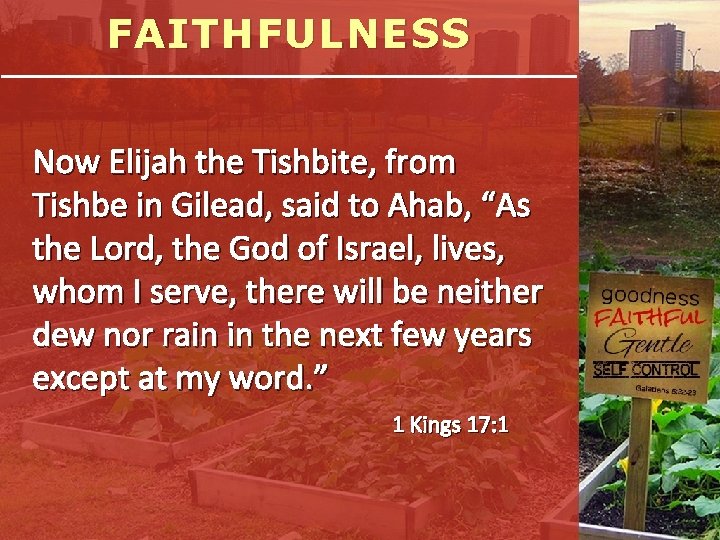 FAITHFULNESS Now Elijah the Tishbite, from Tishbe in Gilead, said to Ahab, “As the