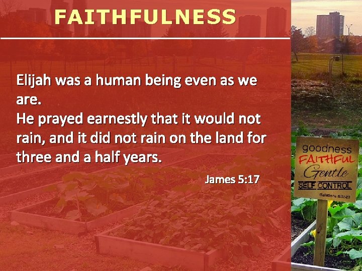 FAITHFULNESS Elijah was a human being even as we are. He prayed earnestly that