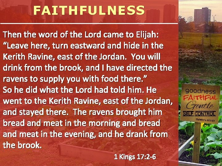 FAITHFULNESS Then the word of the Lord came to Elijah: “Leave here, turn eastward