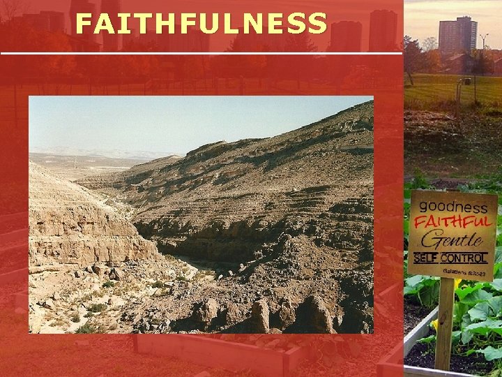 FAITHFULNESS 