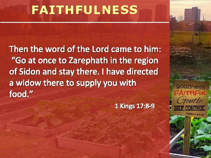 FAITHFULNESS Then the word of the Lord came to him: “Go at once to