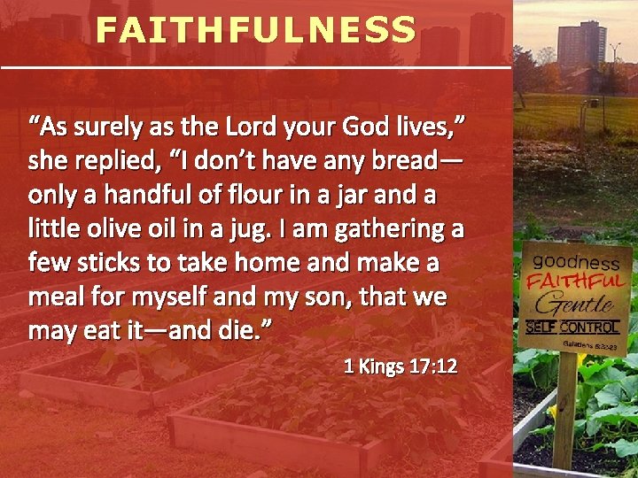 FAITHFULNESS “As surely as the Lord your God lives, ” she replied, “I don’t