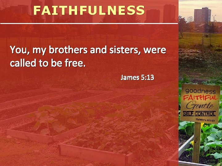 FAITHFULNESS You, my brothers and sisters, were called to be free. James 5: 13