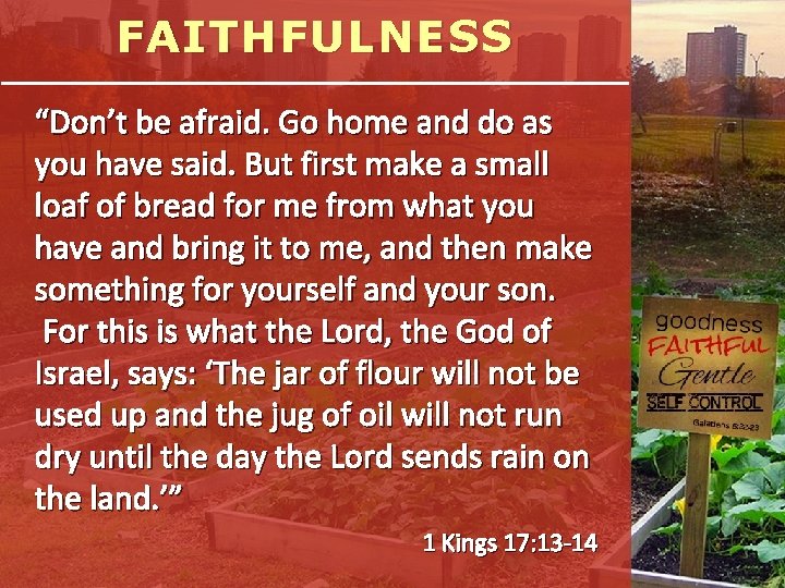 FAITHFULNESS “Don’t be afraid. Go home and do as you have said. But first