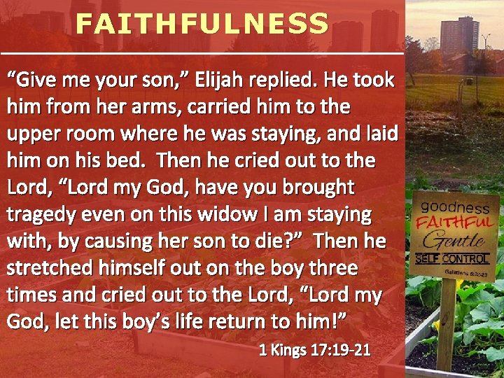 FAITHFULNESS “Give me your son, ” Elijah replied. He took him from her arms,