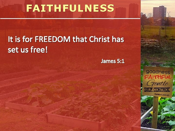 FAITHFULNESS It is for FREEDOM that Christ has set us free! James 5: 1