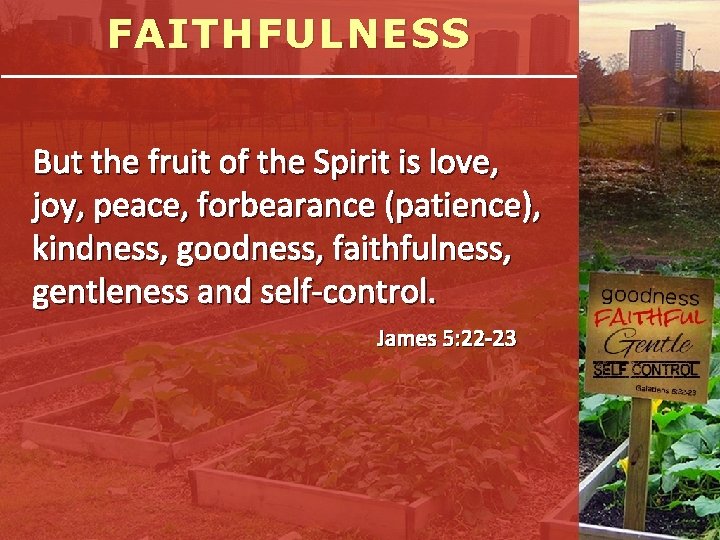 FAITHFULNESS But the fruit of the Spirit is love, joy, peace, forbearance (patience), kindness,