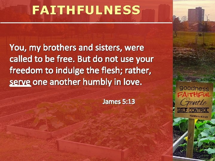 FAITHFULNESS You, my brothers and sisters, were called to be free. But do not