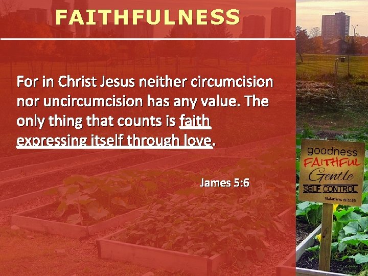 FAITHFULNESS For in Christ Jesus neither circumcision nor uncircumcision has any value. The only