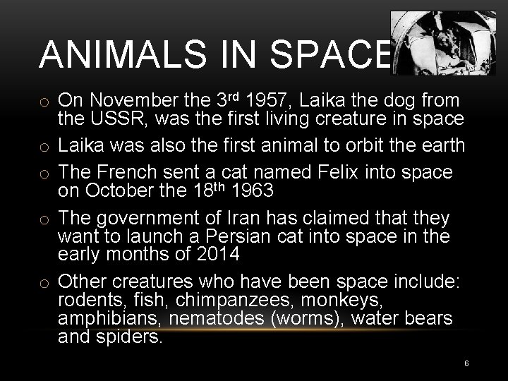 ANIMALS IN SPACE o On November the 3 rd 1957, Laika the dog from