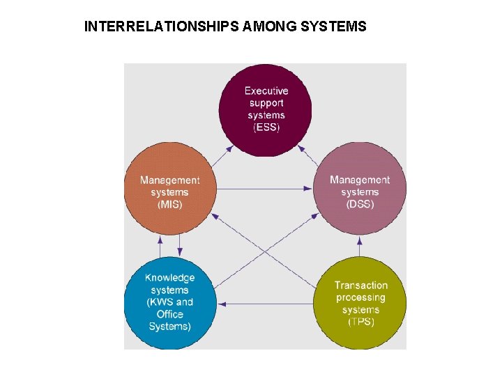 INTERRELATIONSHIPS AMONG SYSTEMS 