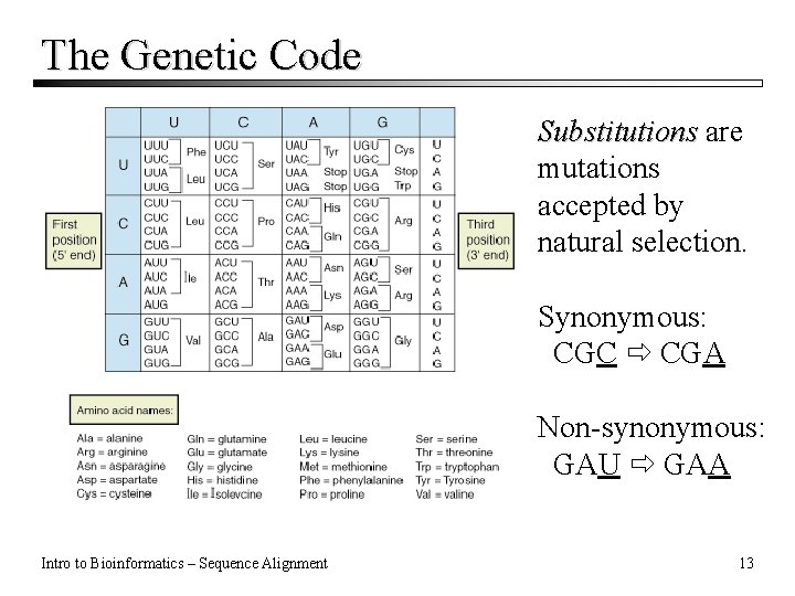 The Genetic Code Substitutions are mutations accepted by natural selection. Synonymous: CGC CGA Non-synonymous: