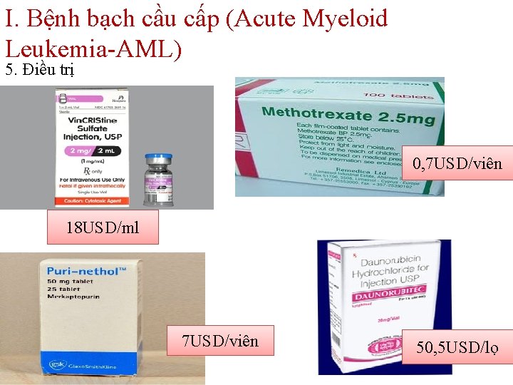 I. Bệnh bạch cầu cấp (Acute Myeloid Leukemia-AML) 5. Điều trị 0, 7 USD/viên