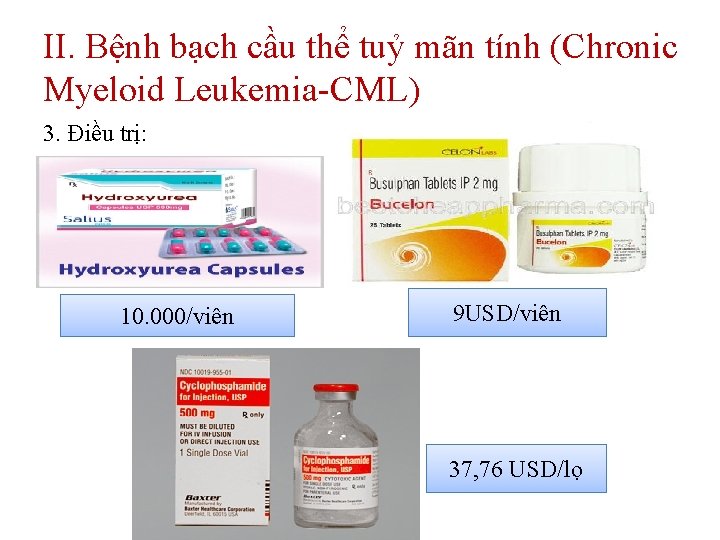 II. Bệnh bạch cầu thể tuỷ mãn tính (Chronic Myeloid Leukemia-CML) 3. Điều trị: