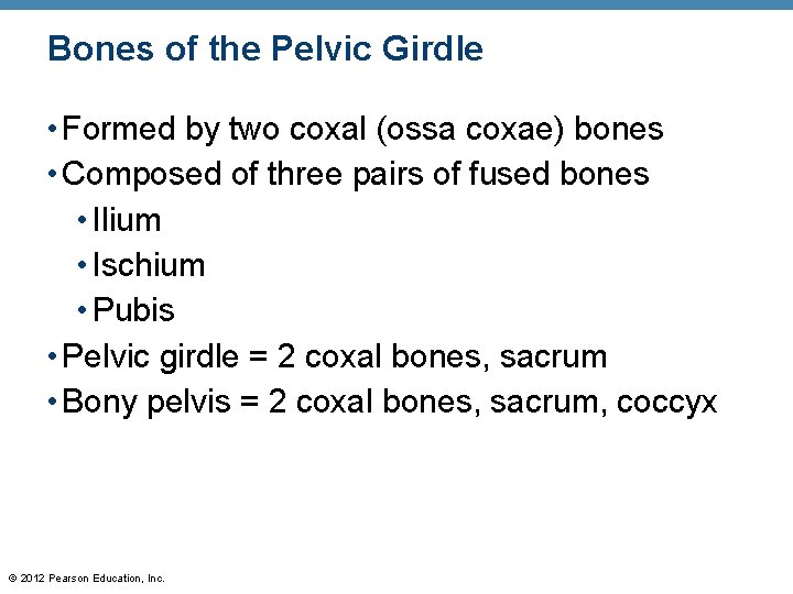 Bones of the Pelvic Girdle • Formed by two coxal (ossa coxae) bones •