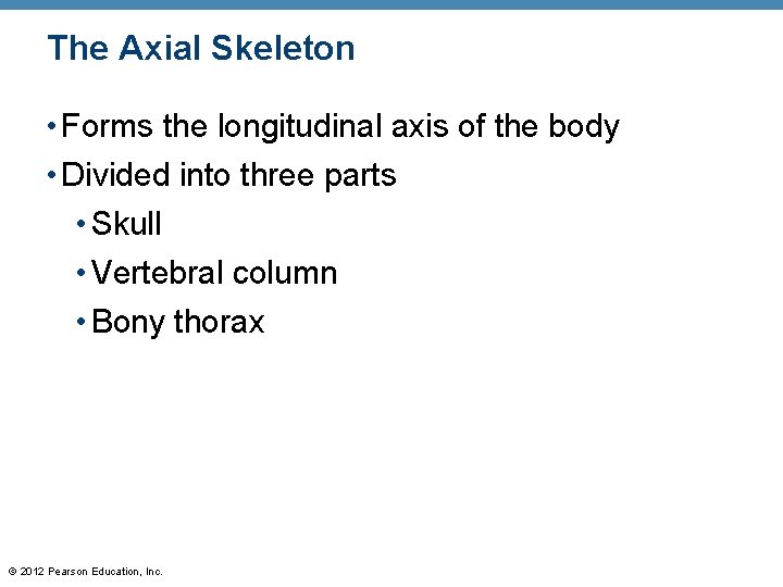 The Axial Skeleton • Forms the longitudinal axis of the body • Divided into