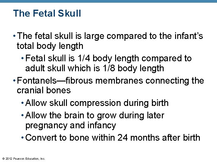 The Fetal Skull • The fetal skull is large compared to the infant’s total