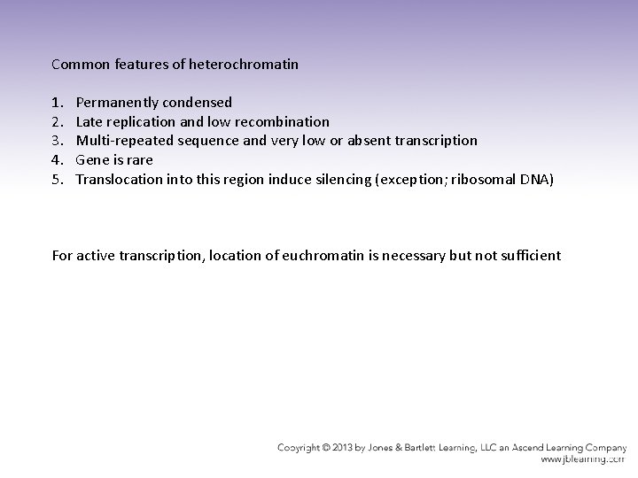 Common features of heterochromatin 1. 2. 3. 4. 5. Permanently condensed Late replication and