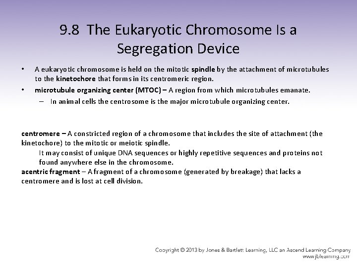 9. 8 The Eukaryotic Chromosome Is a Segregation Device • • A eukaryotic chromosome